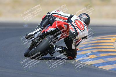 media/May-13-2023-SoCal Trackdays (Sat) [[8a473a8fd1]]/Turn 11 Backside (945am)/